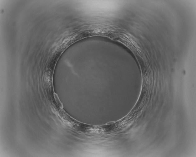 X0000087020415200704301319