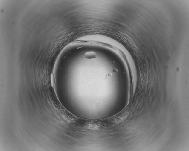 X0000087020416200704301319