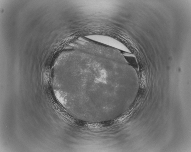 X0000087020417200704301319