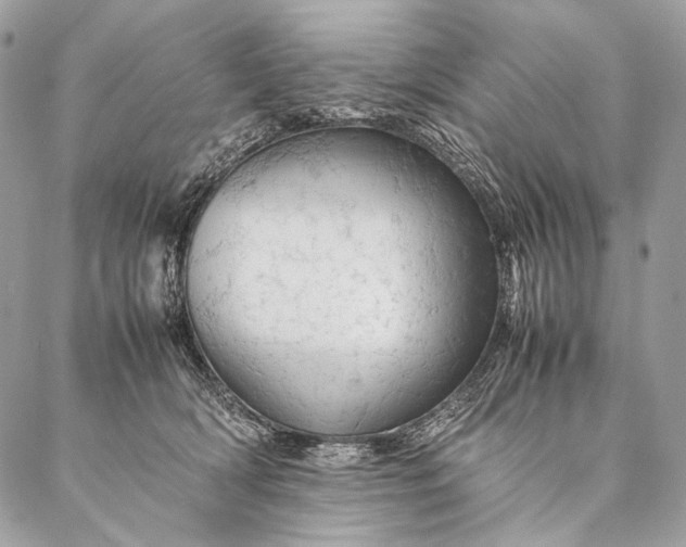 X0000087020418200704301319