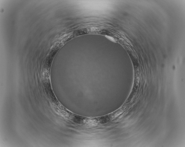 X0000087020419200704301319