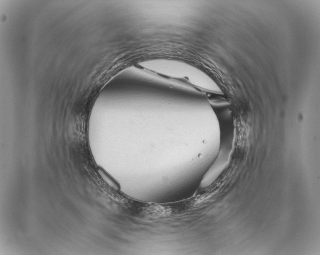 X0000087020421200704301319