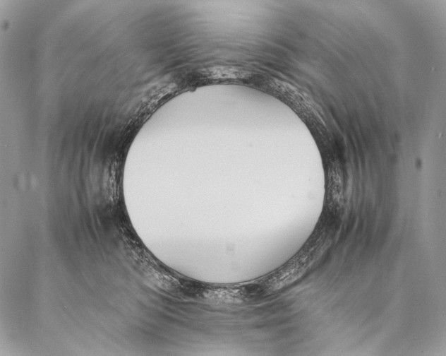 X0000087020422200704301319