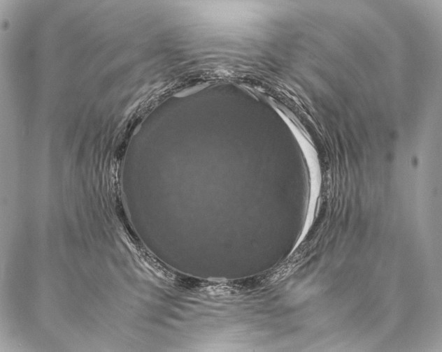 X0000087020423200704301319