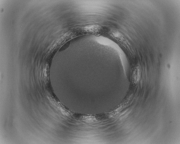 X0000087020424200704301319