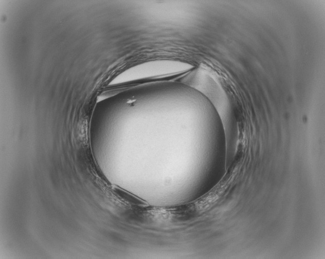 X0000087020425200704301319