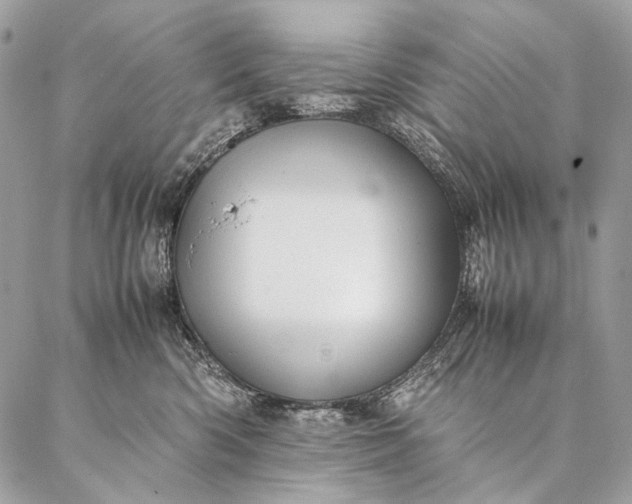 X0000087020426200704301319