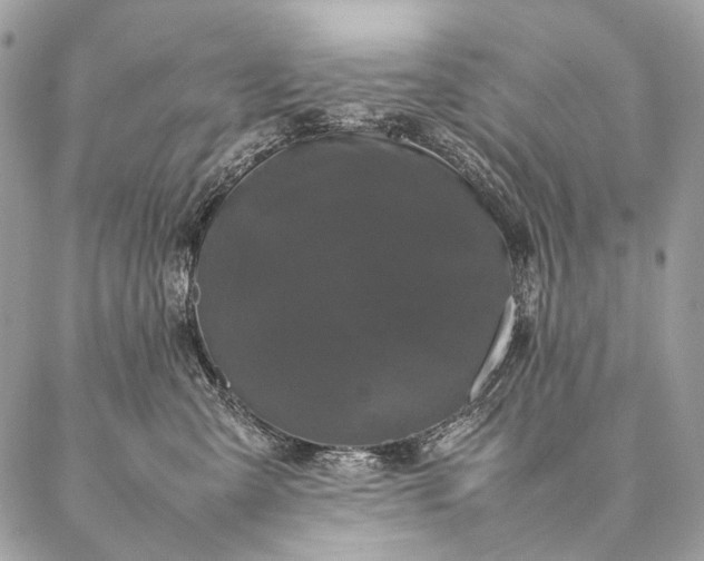 X0000087020427200704301319