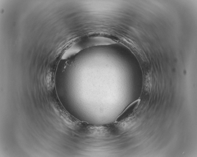 X0000087020428200704301319