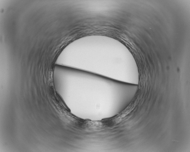 X0000087020429200704301319