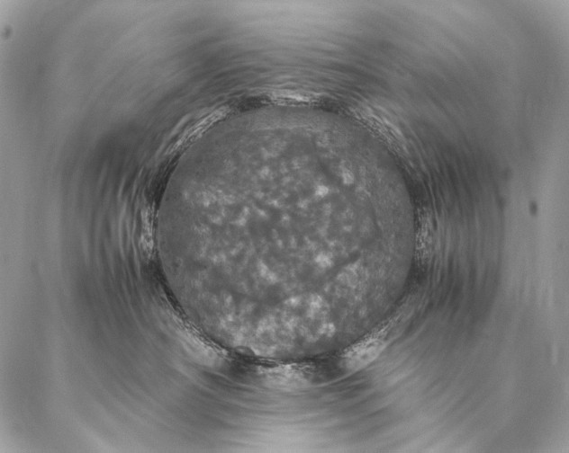 X0000087020430200704301319