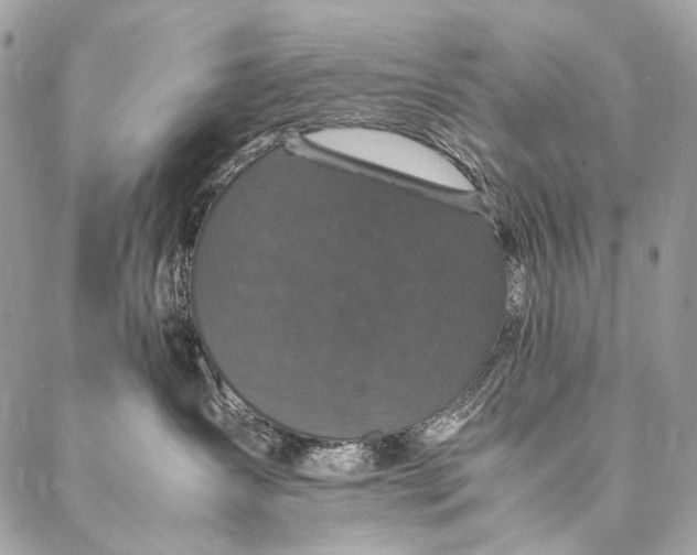 X0000087020431200704301319