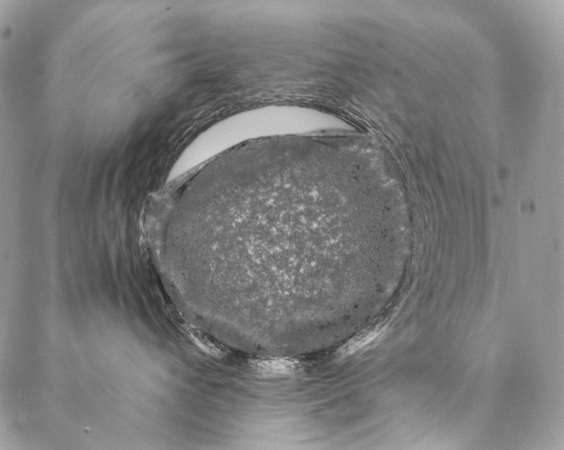 X0000087020432200704301319