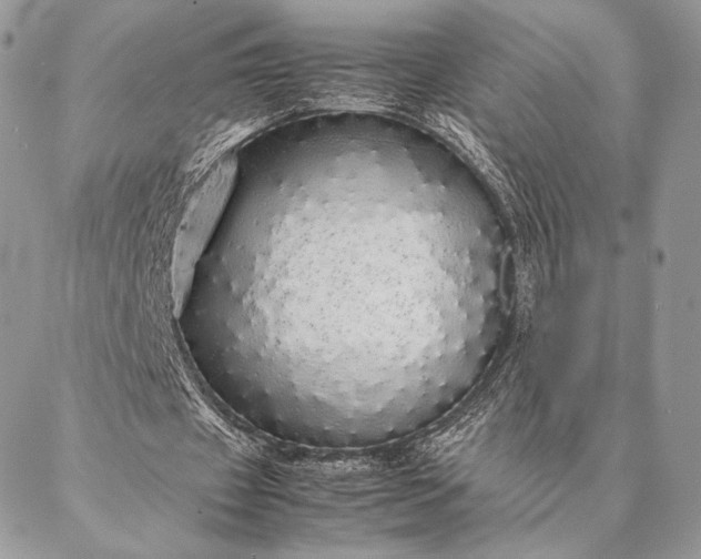 X0000087020433200704301318