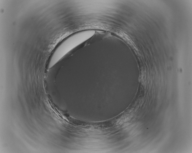 X0000087020434200704301318