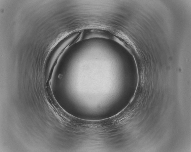 X0000087020436200704301318