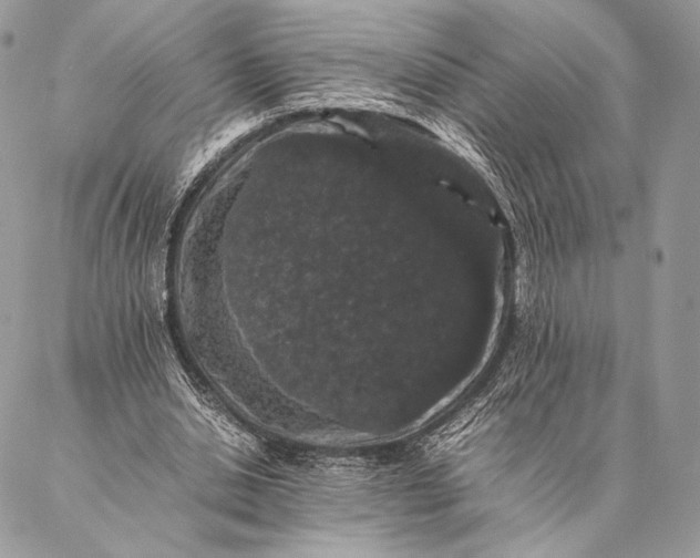 X0000087020438200704301318