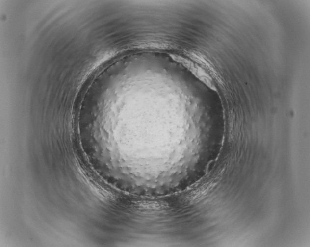 X0000087020439200704301318