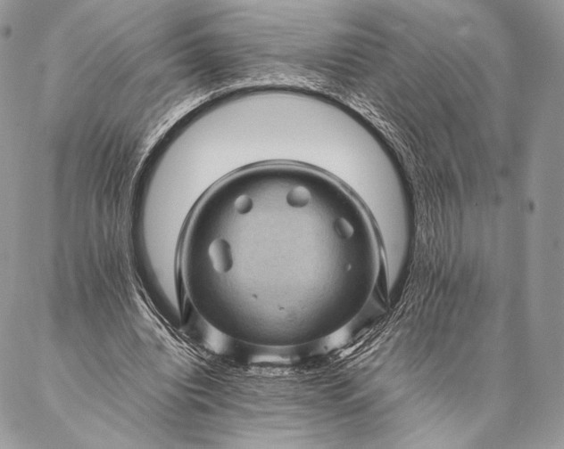 X0000087020440200704301318