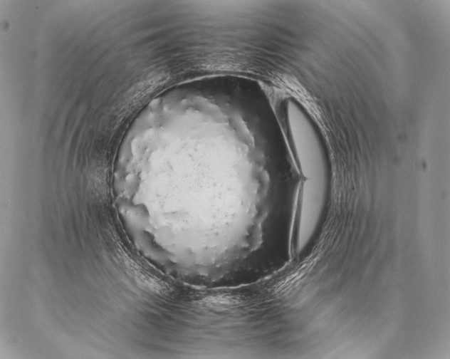 X0000087020441200704301318