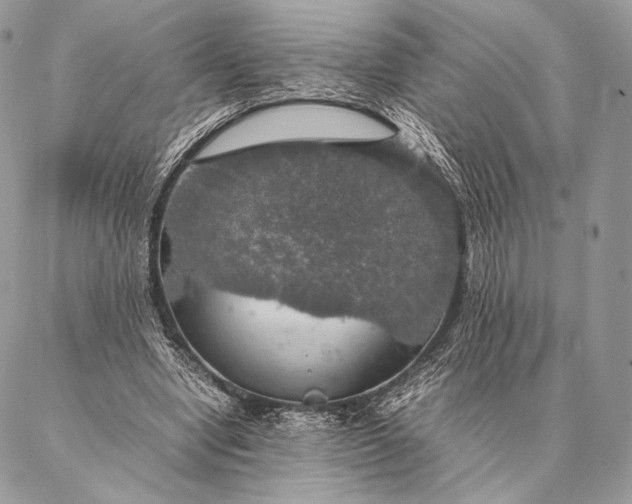 X0000087020442200704301318