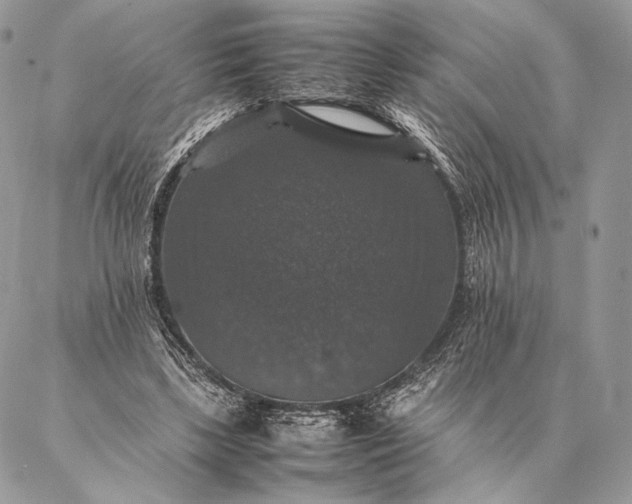 X0000087020443200704301318