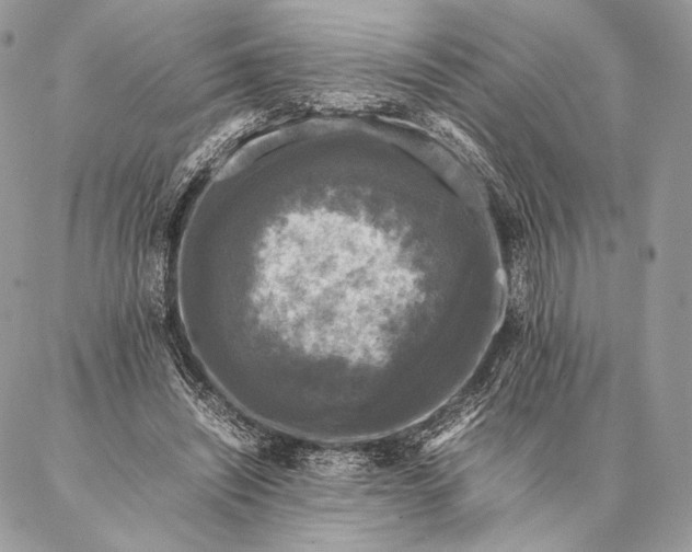 X0000087020444200704301318