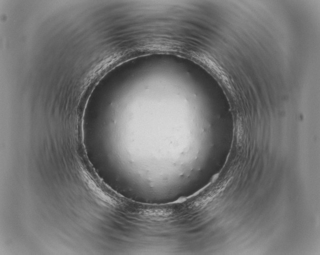 X0000087020445200704301318