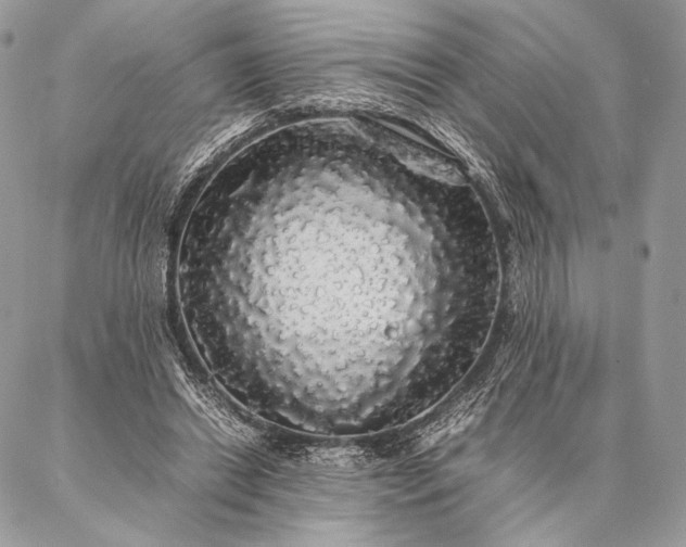 X0000087020446200704301318