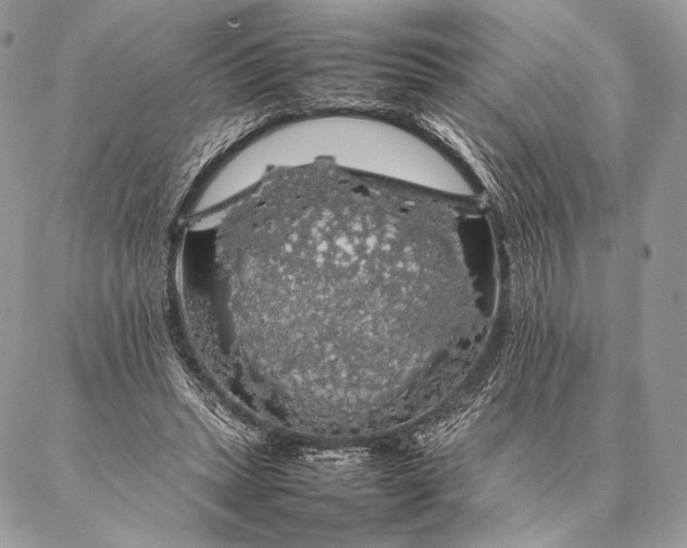 X0000087020447200704301318