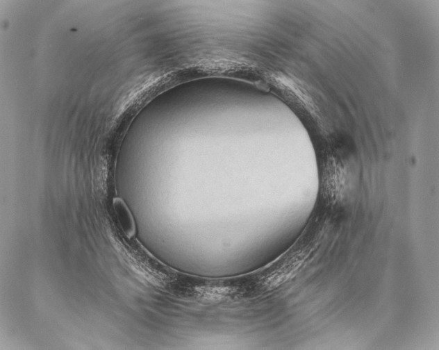 X0000087020448200704301318