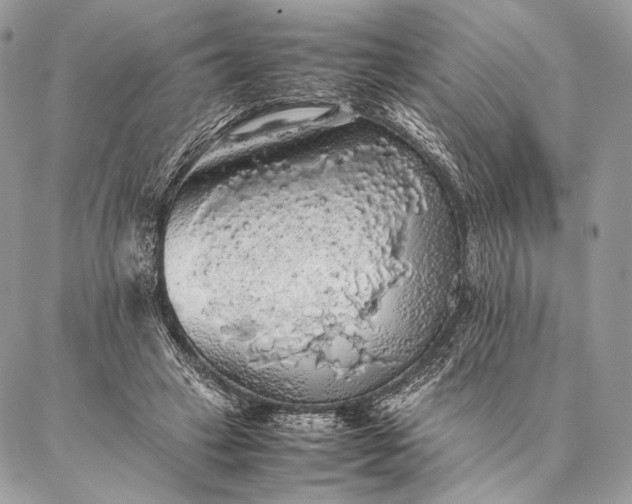 X0000087020449200704301318