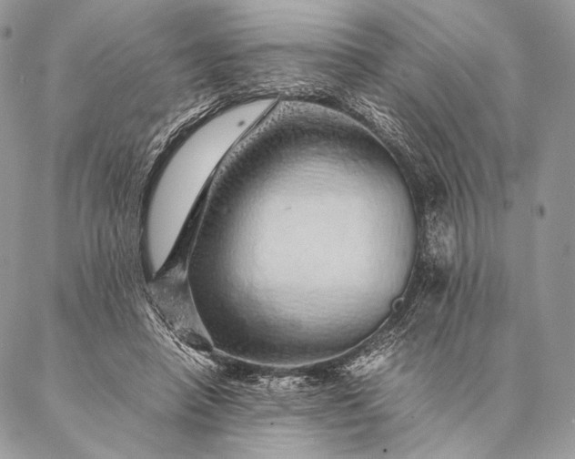 X0000087020450200704301318