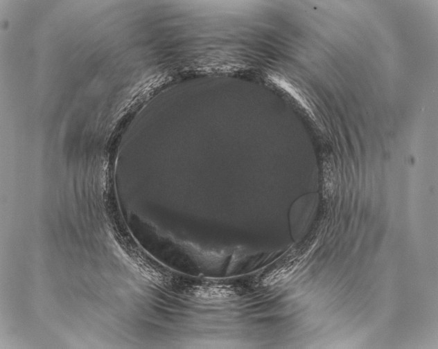 X0000087020451200704301318