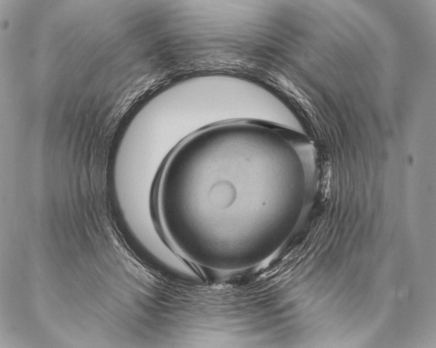 X0000087020452200704301318