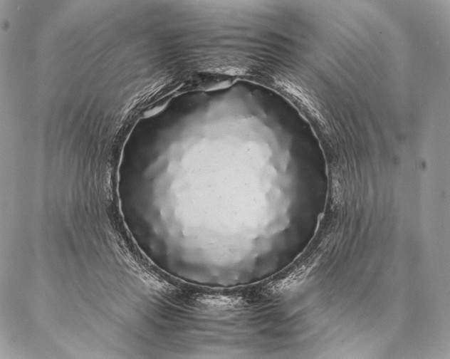 X0000087020453200704301318