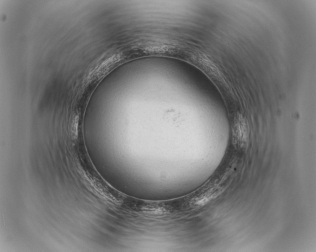 X0000087020454200704301318