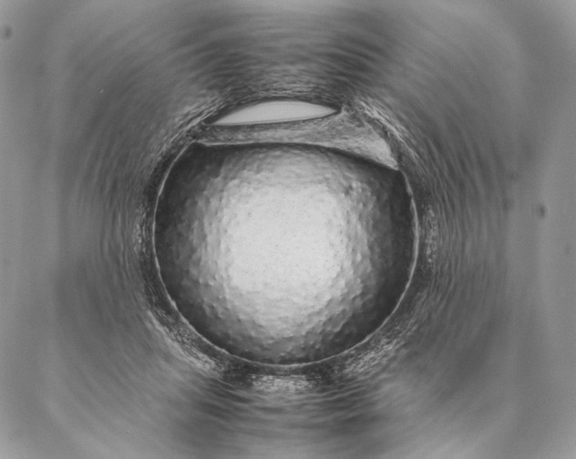 X0000087020455200704301318