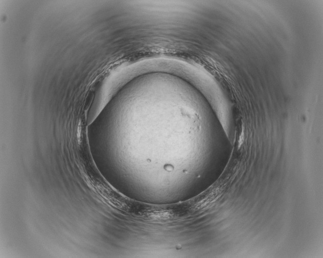 X0000087020456200704301318