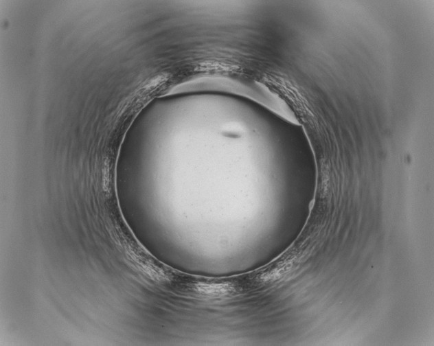 X0000087020457200704301318