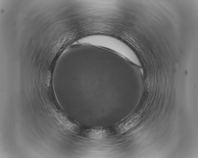 X0000087020458200704301318