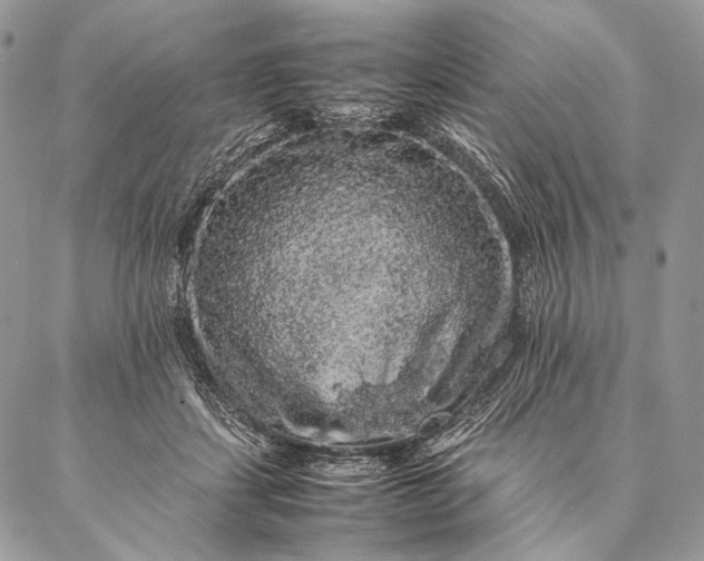 X0000087020459200704301318