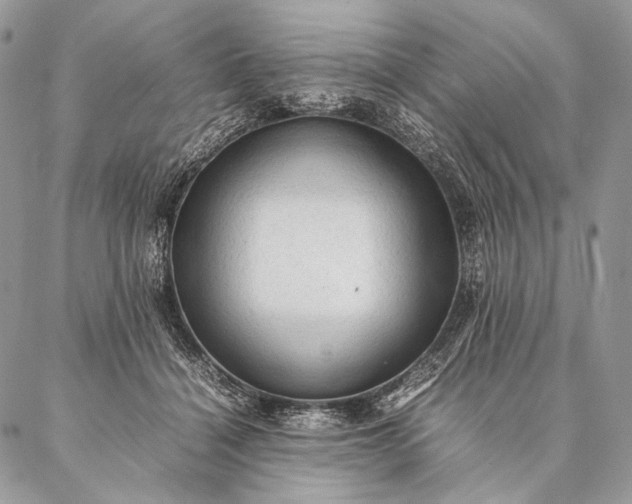 X0000087020460200704301318