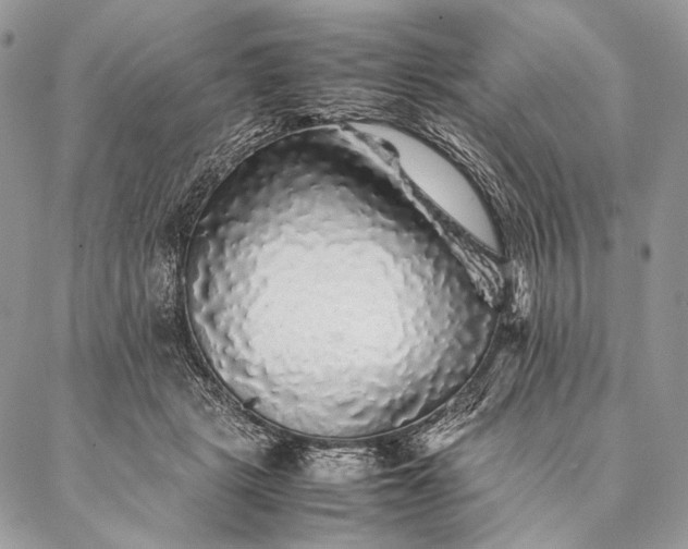 X0000087020461200704301318