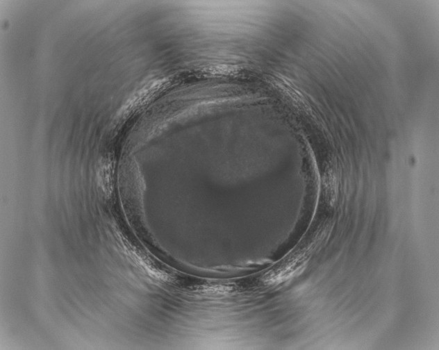 X0000087020462200704301318