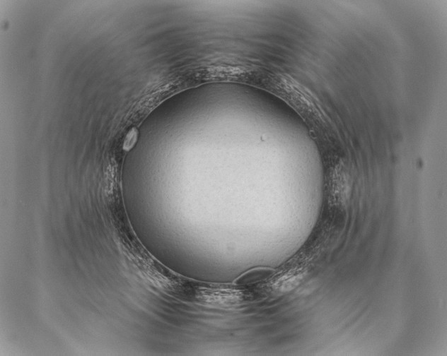 X0000087020463200704301318