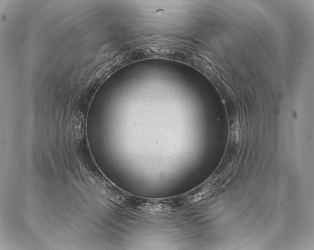 X0000087020464200704301318