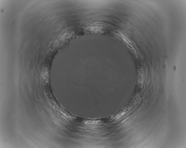 X0000087020465200704301318