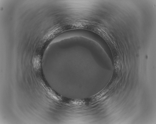 X0000087020466200704301318