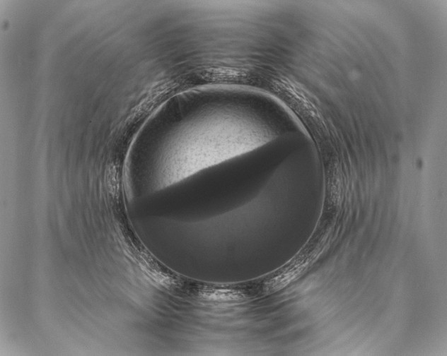 X0000087020467200704301319